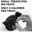 Bixbi Pocket Trainers Grain-Free Salmon Treats for Dogs (6 oz)