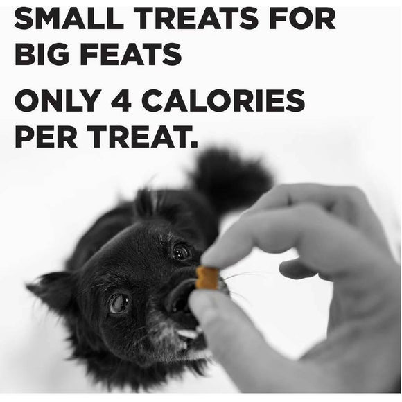 Bixbi Pocket Trainers Grain-Free Salmon Treats for Dogs (6 oz)