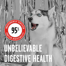 Bixbi Rawbble Freeze-Dried Dog Food Beef Recipe - Dog Food 5
