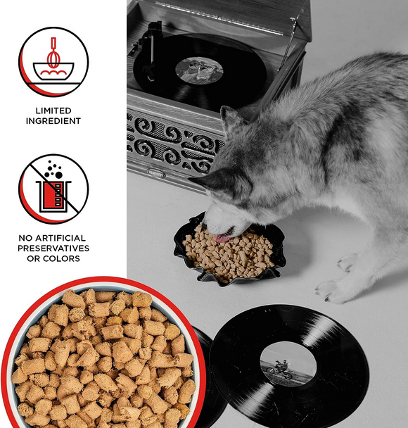 Bixbi Rawbble Freeze-Dried Dog Food Beef Recipe - Dog Food 6