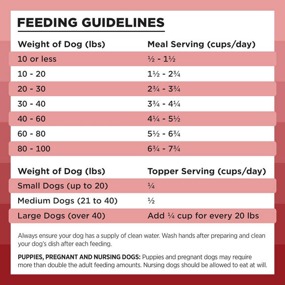 Bixbi Rawbble Freeze-Dried Dog Food Beef Recipe - Dog Food 3