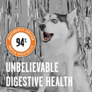 Bixbi Rawbble Freeze-Dried Dog Food Chicken Recipe - Dog Food 5
