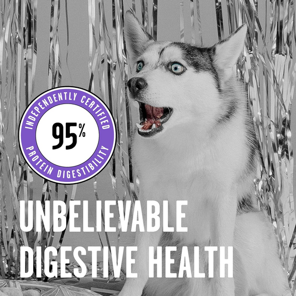 Bixbi Rawbble Freeze-Dried Dog Food Lamb Recipe - Dog Food 6