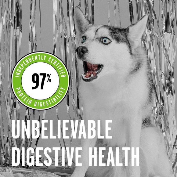 Bixbi Rawbble Freeze-Dried Dog Food Pork Recipe - Dog Food 4