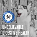 Bixbi Rawbble Freeze-Dried Dog Food Turkey Recipe - Dog Food 5