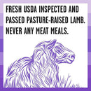 Bixbi Rawbble Limited Ingredient Grain-Free Lamb Recipe Raw Coated Dry Dog Food (4 lb)