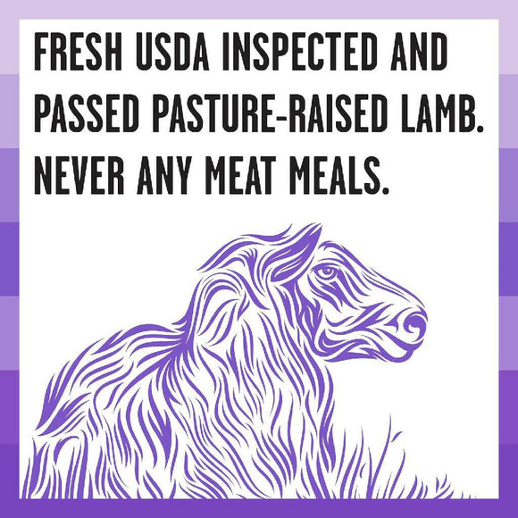 Bixbi Rawbble Limited Ingredient Grain-Free Lamb Recipe Raw Coated Dry Dog Food (4 lb)