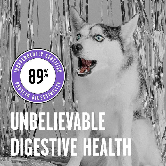 Bixbi Rawbble Limited Ingredient Grain-Free Lamb Recipe Raw Coated Dry Dog Food (4 lb)