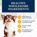 Blue Buffalo Natural Veterinary Diet KS Kidney Support Dry Dog Food