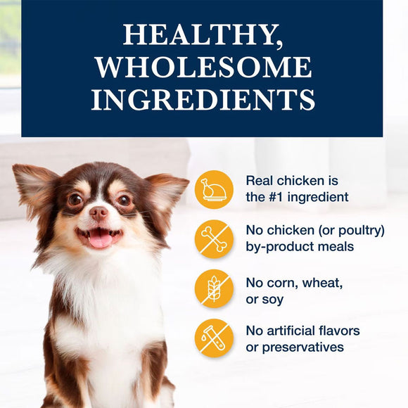 Blue Buffalo Natural Veterinary Diet KS Kidney Support Dry Dog Food