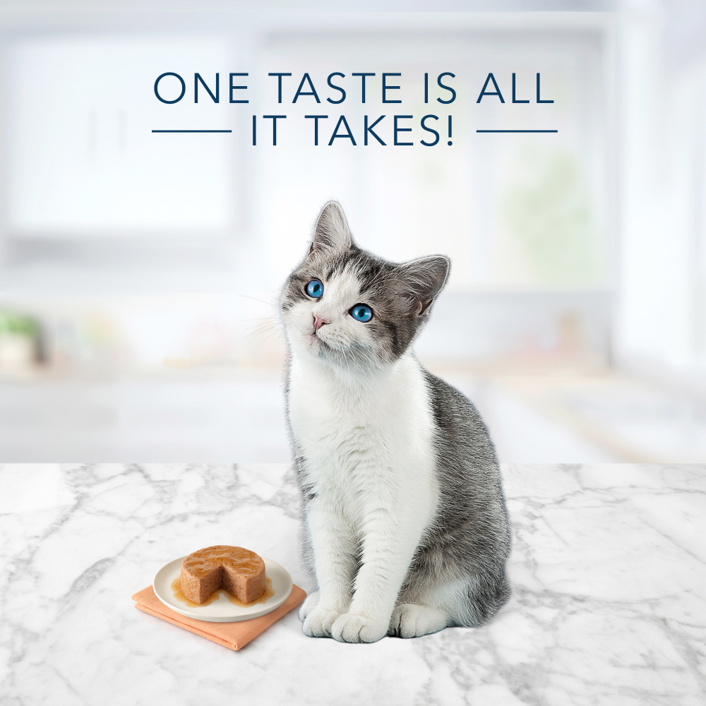 Blue Buffalo Tastefuls Natural Kitten Pate Chicken Entree Wet Cat Food. 12 / 3 oz