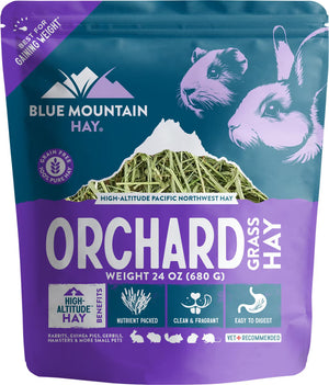 Blue Mountain Hay Orchard Grass Hay Small Animal Food - 24-oz - Small Pet Food 1