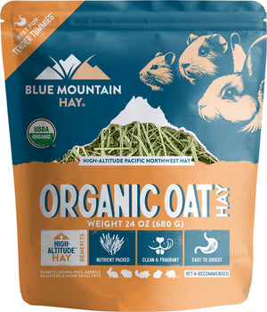 Blue Mountain Hay Organic Oat Hay Small Animal Food - 24-oz - Small Pet Food 1