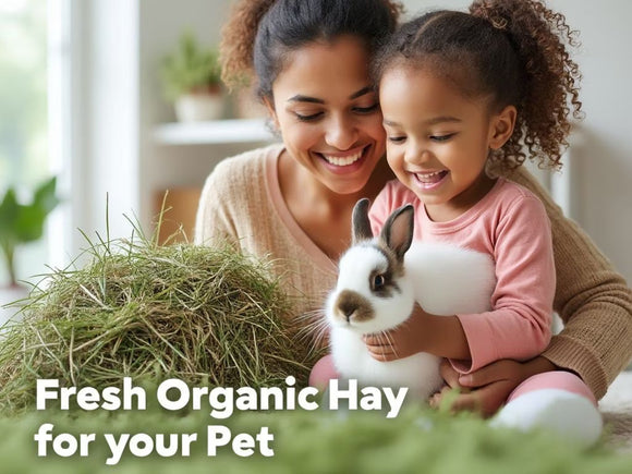 Blue Mountain Hay Organic Oat Hay Small Animal Food - Small Pet Food 5