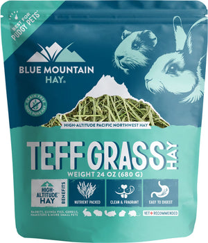 Blue Mountain Hay Teff Grass Hay Small Animal Food - 24-oz - Small Pet Food 1