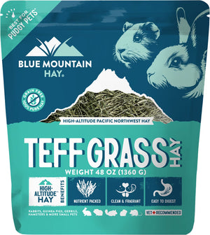 Blue Mountain Hay Teff Grass Hay Small Animal Food - 48-oz - Small Pet Food 2