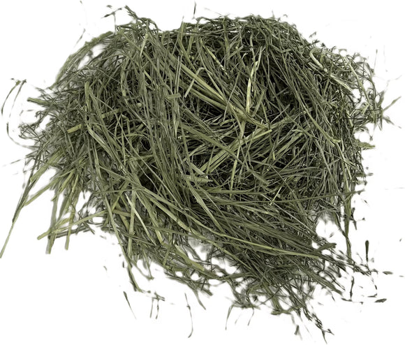 Blue Mountain Hay Teff Grass Hay Small Animal Food - Small Pet Food 3