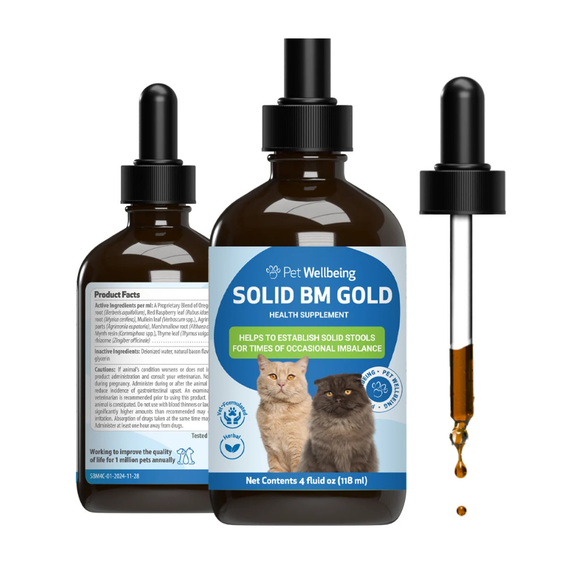 BM Tone-Up Gold for Loose Stools in Cats - Cat Health Care & Wellness 4