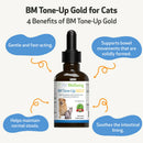 Cat Diarrhea Treatment