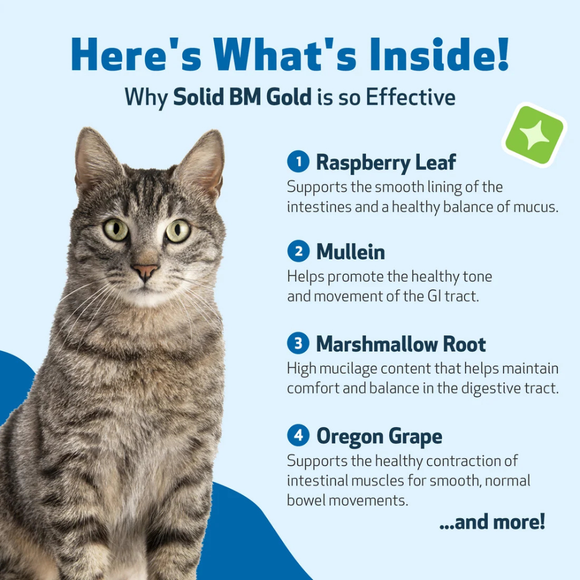 BM Tone-Up Gold for Loose Stools in Cats - Cat Health Care & Wellness 10