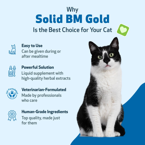 BM Tone-Up Gold for Loose Stools in Cats - Cat Health Care & Wellness 9