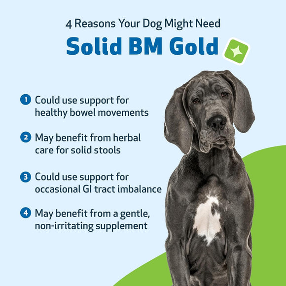 BM Tone-Up Gold for Loose Stools in Dogs - Dog Health Care & Wellness 3