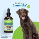 BM Tone-Up Gold for Loose Stools in Dogs - Dog Health Care & Wellness 8