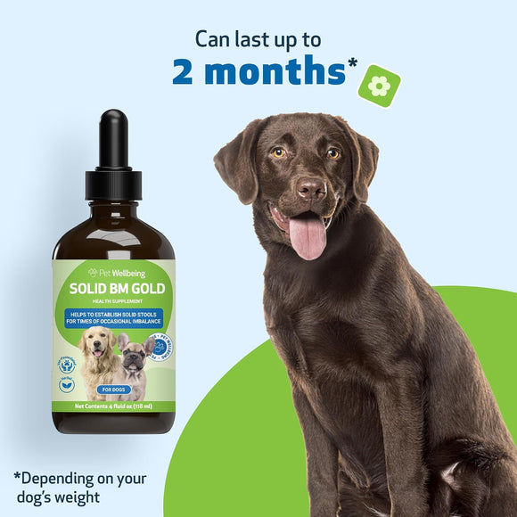 BM Tone-Up Gold for Loose Stools in Dogs - Dog Health Care & Wellness 8