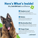 BM Tone-Up Gold for Loose Stools in Dogs - Dog Health Care & Wellness 6