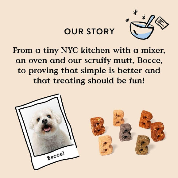 Bocce's Bakery Basics Salmon Crunchy Biscuits For Dogs (6 oz)