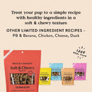 Bocce's Bakery Basics Salmon Soft & Chewy Treats For Dogs (6 oz)