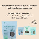 Bocce's Bakery Brushy Sticks Dental Bars for Small Dogs For Dogs (13 oz)