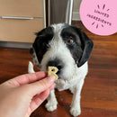 Bocce's Bakery Oven Baked Bone Broth Dog Treats (5 oz)