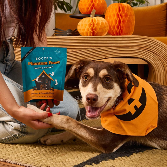 Bocce’s Bakery Phantom Feast Soft & Chewy Dog Treats 6-oz - Dog Treats 8