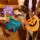 Bocce’s Bakery Phantom Feast Soft & Chewy Dog Treats 6-oz - Dog Treats 7
