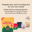 Bocce's Bakery Pumpkin Spice Soft & Chewy Treats For Dogs (6 oz)