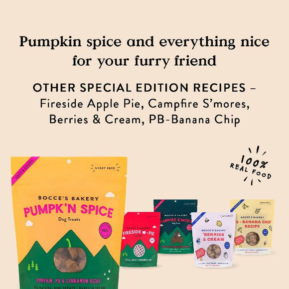 Bocce's Bakery Pumpkin Spice Soft & Chewy Treats For Dogs (6 oz)