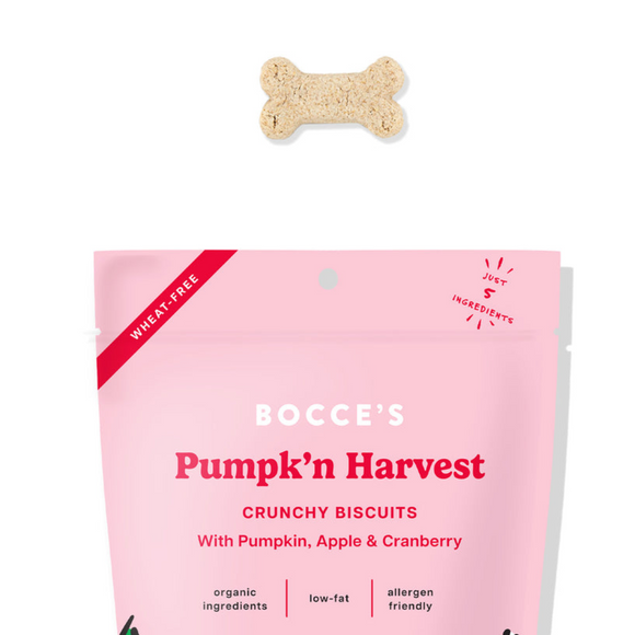 Bocce’s Bakery Pumpk’n Harvest Pumpkin Apple & Cranberry Crunchy Biscuit Dog Treats (12 oz) - Dog Treats 3