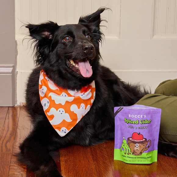 Bocce’s Bakery Spice Cider Soft & Chewy Dog Treats 6-oz - Dog Treats 8
