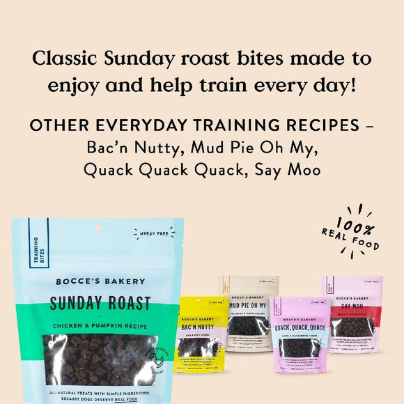 Bocce's Bakery Sunday Roast Training Dog Treats (6 oz)
