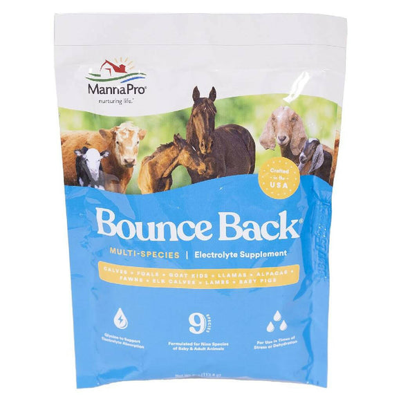 Bounce Back Multi-Species Electrolyte Supplement - 4 oz - Horse Vitamins & Supplements 4