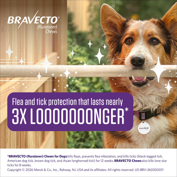 Bravecto Chews for Extra-Large Dogs 88-123 lbs (Pink Box) - Pet Medicine 3