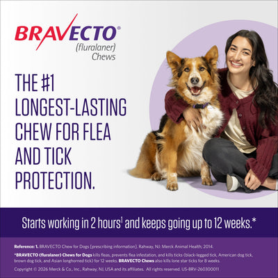 Bravecto Chews for Medium Dogs 22-44 lbs (Green Box) - Pet Medicine 2