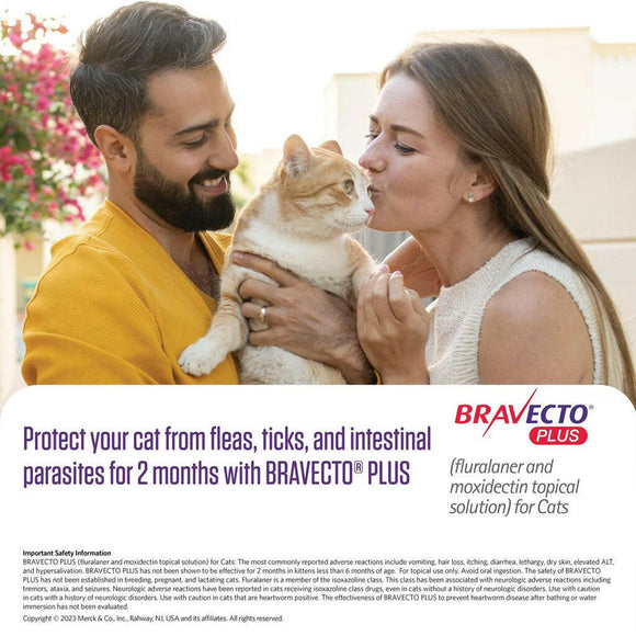Bravecto Plus Topical Solution for Cats 13.8-27.5 lbs Pet Medicine.