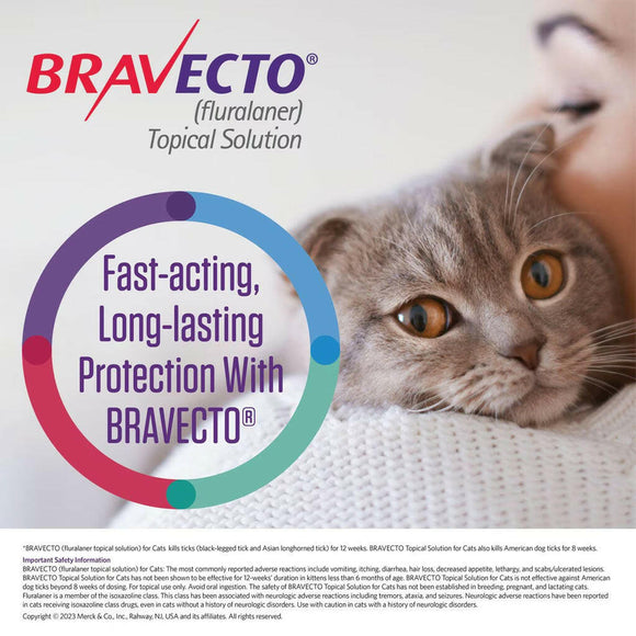 Bravecto Topical Solution for Cats 2.6-6.2 lbs
