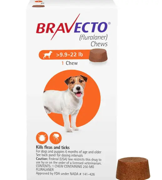 Bravecto vs NexGard: Which Flea and Tick Treatment Is Best for Dogs?