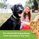 Buddy Biscuits with Roasted Chicken Oven Baked For Dog Treats (16 oz)