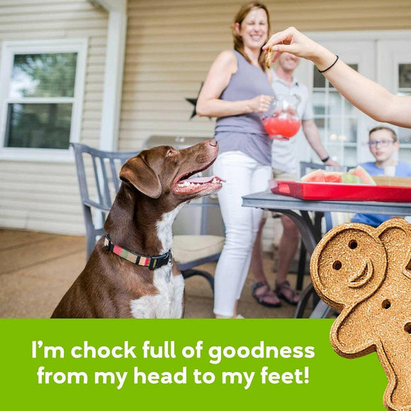 Buddy Biscuits Grain-Free Oven-Baked Crunchy Dog Treats With Roasted Chicken (14 oz)