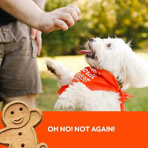 Buddy Biscuits Grain Free Soft & Chewy Dog Treats With Peanut Butter (5 oz)