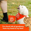 Buddy Biscuits Soft & Chewy with Peanut Butter Dog Treats (20 oz)